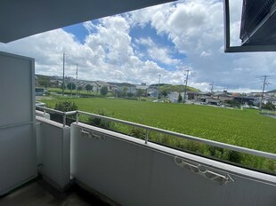 野里駅 徒歩28分 3階の物件内観写真